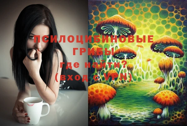 эйфоретик Беломорск
