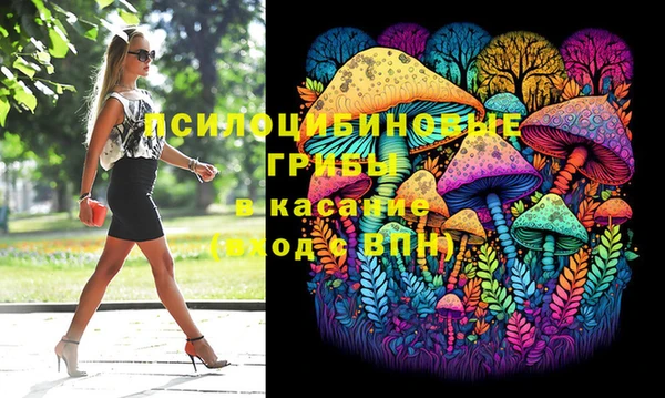 эйфоретик Беломорск