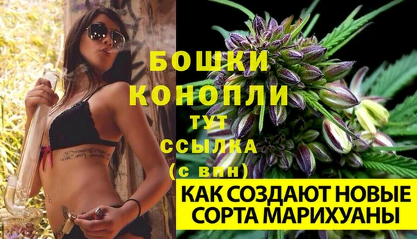 мяу мяу мука Белокуриха